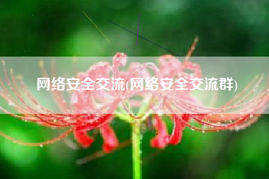 网络安全交流(网络安全交流群)