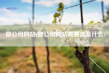 做公司网站(做公司网站需要准备什么)