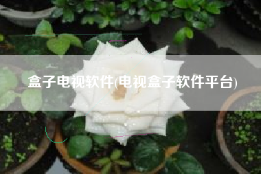 盒子电视软件(电视盒子软件平台)