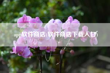 app软件商店(软件商店下载入口)