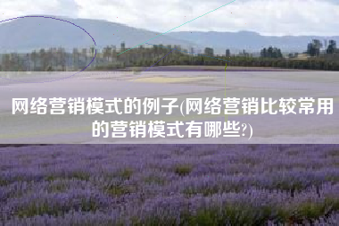 网络营销模式的例子(网络营销比较常用的营销模式有哪些?)