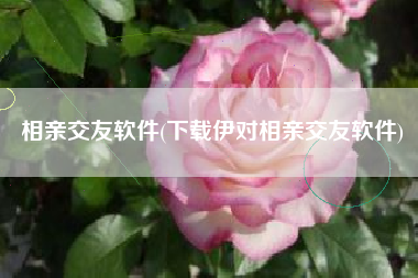 相亲交友软件(下载伊对相亲交友软件)