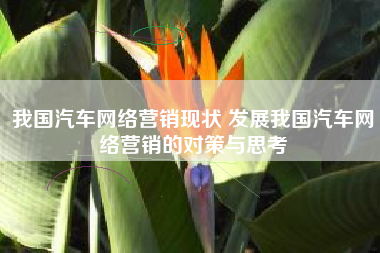我国汽车网络营销现状 发展我国汽车网络营销的对策与思考