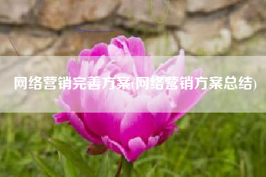 网络营销完善方案(网络营销方案总结)