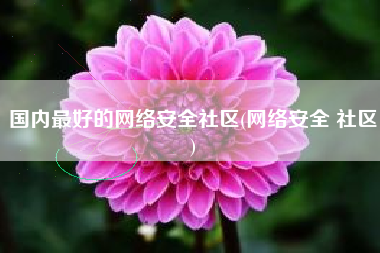 国内最好的网络安全社区(网络安全 社区)