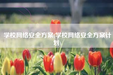 学校网络安全方案(学校网络安全方案计划)