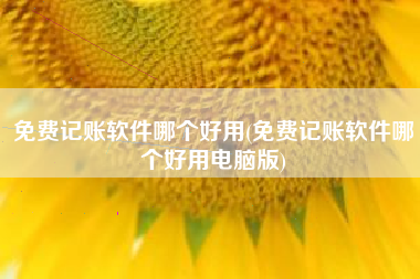免费记账软件哪个好用(免费记账软件哪个好用电脑版)