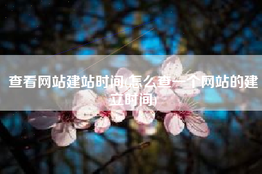 查看网站建站时间(怎么查一个网站的建立时间)
