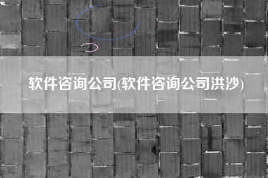软件咨询公司(软件咨询公司洪沙)