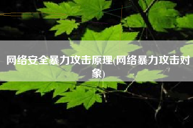 网络安全暴力攻击原理(网络暴力攻击对象)