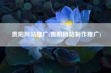 贵阳网站推广(贵阳网站制作推广)