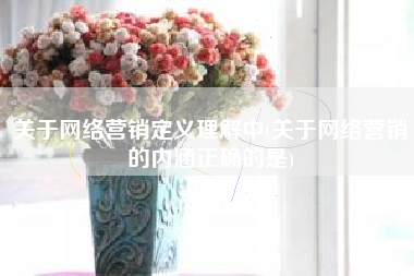 关于网络营销定义理解中(关于网络营销的内涵正确的是)