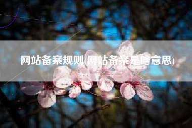 网站备案规则(网站备案是啥意思)