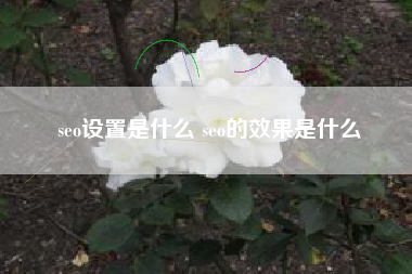seo设置是什么 seo的效果是什么