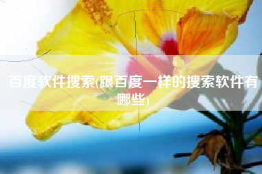 百度软件搜索(跟百度一样的搜索软件有哪些)