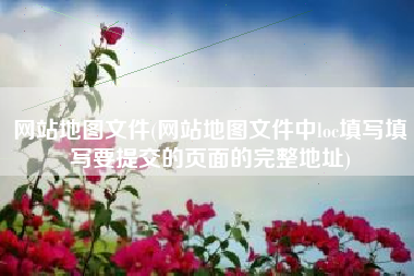 网站地图文件(网站地图文件中loc填写填写要提交的页面的完整地址)