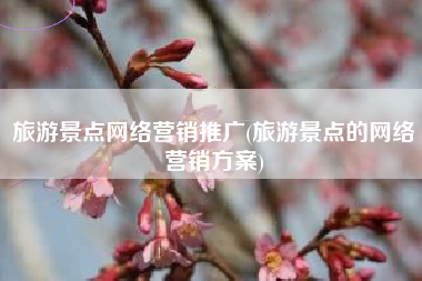 旅游景点网络营销推广(旅游景点的网络营销方案)