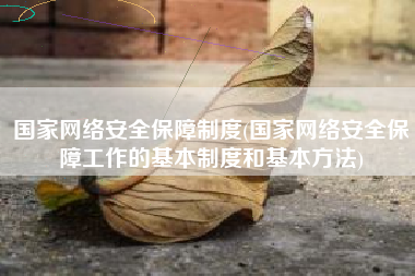 国家网络安全保障制度(国家网络安全保障工作的基本制度和基本方法)