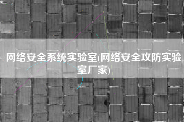 网络安全系统实验室(网络安全攻防实验室厂家)