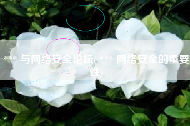 *** 与网络安全论坛( *** 网络安全的重要性)