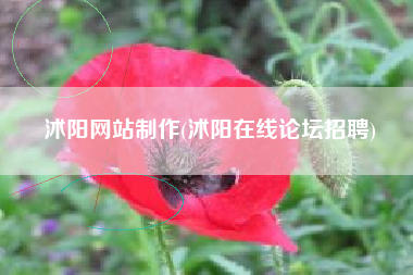 沭阳网站制作(沭阳在线论坛招聘)