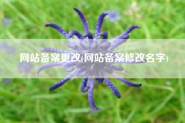 网站备案更改(网站备案修改名字)