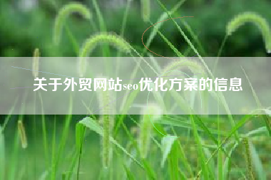 关于外贸网站seo优化方案的信息