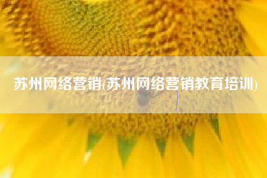 苏州网络营销(苏州网络营销教育培训)