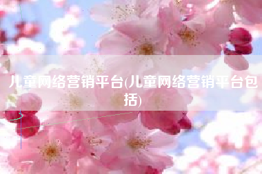 儿童网络营销平台(儿童网络营销平台包括)