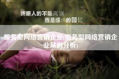 服务型网络营销企业(服务型网络营销企业案例分析)