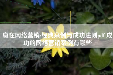 赢在网络营销:经典案例与成功法则pdf 成功的网络营销案例有哪些