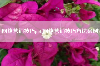 网络营销技巧ppt(网络营销技巧方法案例)