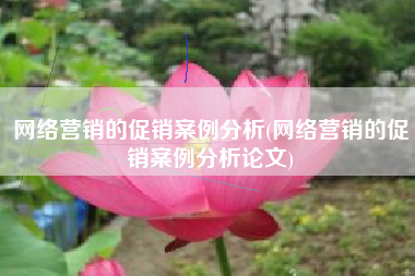 网络营销的促销案例分析(网络营销的促销案例分析论文)