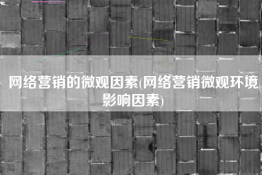 网络营销的微观因素(网络营销微观环境影响因素)
