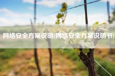 网络安全方案说明(网络安全方案说明书)