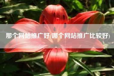 那个网站推广好(哪个网站推广比较好)