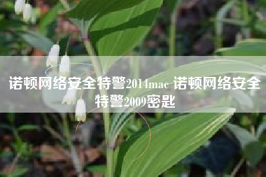 诺顿网络安全特警2014mac 诺顿网络安全特警2009密匙