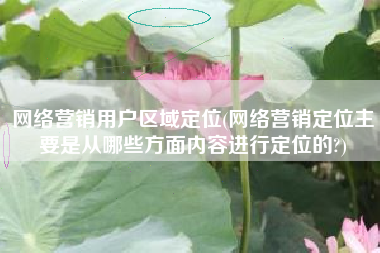 网络营销用户区域定位(网络营销定位主要是从哪些方面内容进行定位的?)