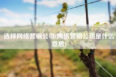 选择网络营销公司(网络营销公司是什么意思)