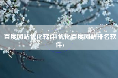 百度网站优化软件(优化百度网站排名软件)