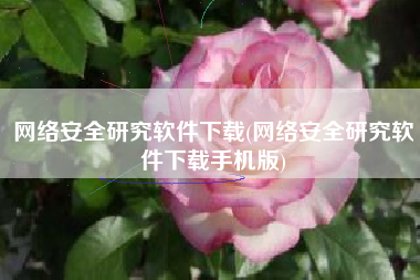 网络安全研究软件下载(网络安全研究软件下载手机版)