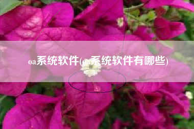 oa系统软件(oa系统软件有哪些)