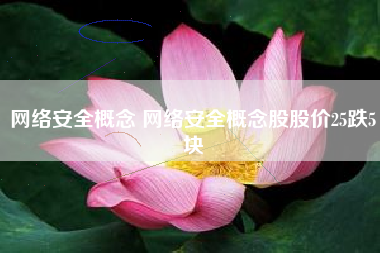 网络安全概念 网络安全概念股股价25跌5块