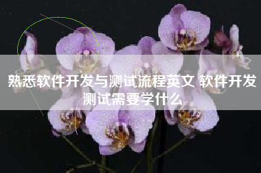 熟悉软件开发与测试流程英文 软件开发测试需要学什么
