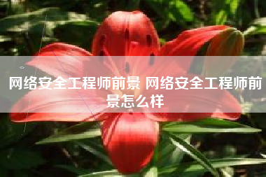 网络安全工程师前景 网络安全工程师前景怎么样