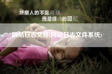 网站日志文件(网站日志文件系统)