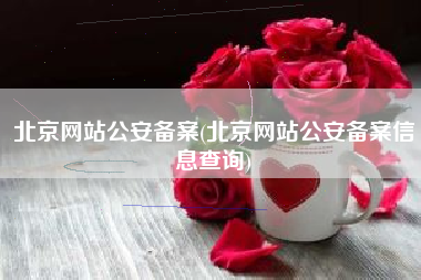 北京网站公安备案(北京网站公安备案信息查询)
