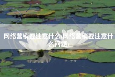 网络营销要注意什么(网络营销要注意什么问题)