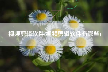 视频剪辑软件(视频剪辑软件有哪些)
