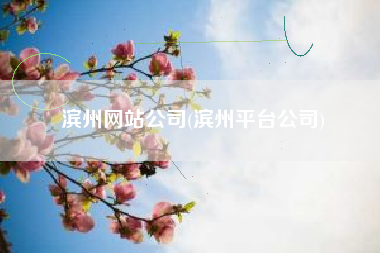 滨州网站公司(滨州平台公司)
